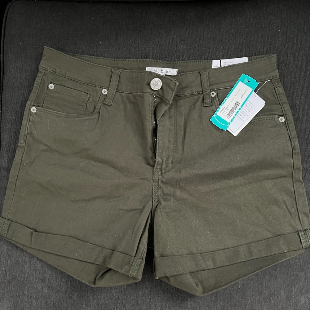 Stitch Fix STS Blue Olive Green Cargo Shorts Mid-Length Casual